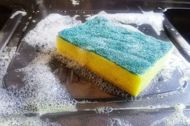 ⓒ게티이미지뱅크(수세미)