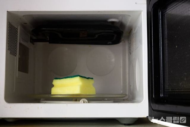 ⓒ게티이미지뱅크(수세미)