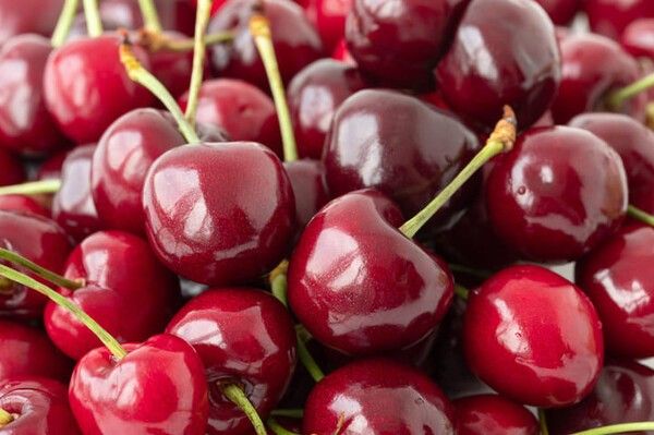 ⓒ게티이미지뱅크(체리)