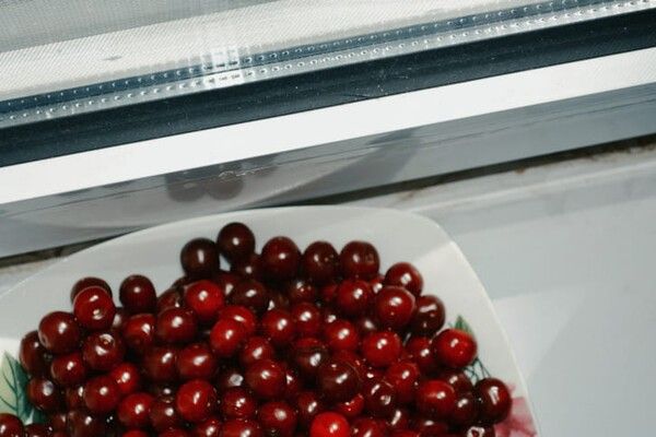 ⓒ게티이미지뱅크(체리)