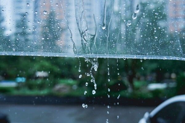 ⓒ게티이미지뱅크(장마)