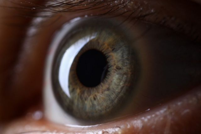 ⓒ게티이미지뱅크(사람 동공)