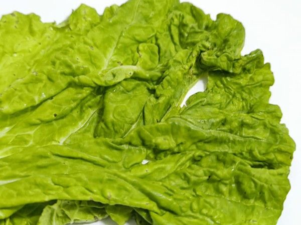 ⓒ게티이미지뱅크(상추)