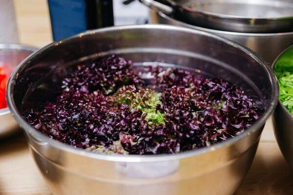 ⓒ게티이미지뱅크(상추)