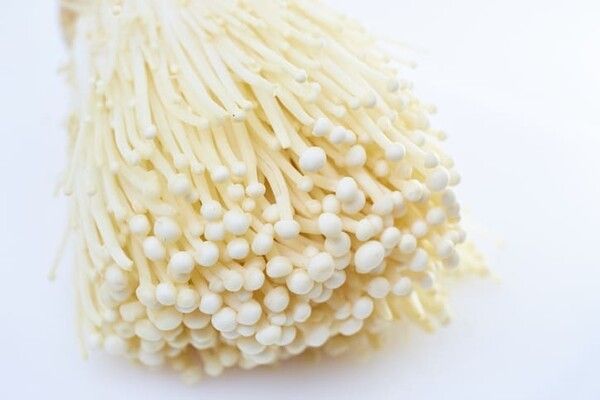 ⓒ게티이미지뱅크(팽이버섯)