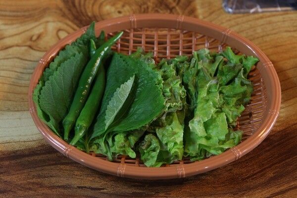 ⓒ게티이미지뱅크(상추 깻잎)