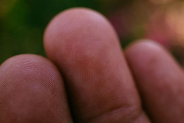 ⓒ게티이미지뱅크(지문)