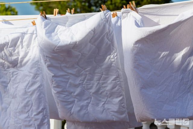 ⓒ게티이미지뱅크(이불)