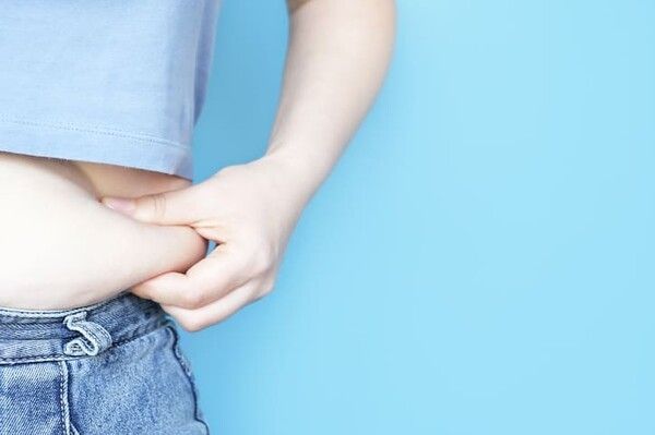 ⓒ게티이미지뱅크(비만)