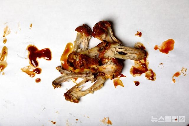 ⓒ게티이미지뱅크(일반쓰레기)