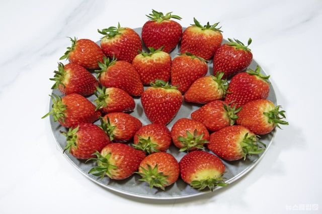 ⓒ게티이미지뱅크(딸기)