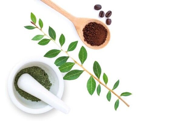 ⓒ게티이미지뱅크(녹찻잎과 커피찌꺼기)