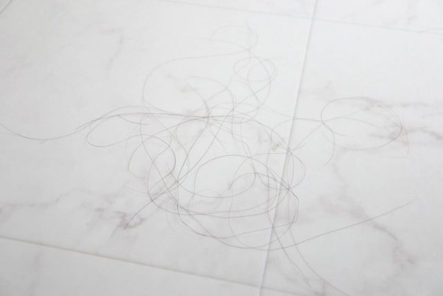 ⓒ게티이미지뱅크(방바닥 머리카락)