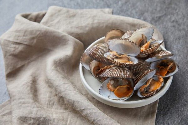 ⓒ게티이미지뱅크(조개)