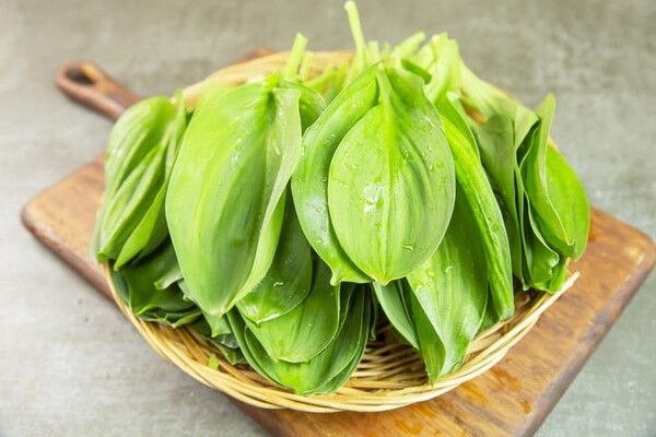 ⓒ게티이미지뱅크(명이나물)