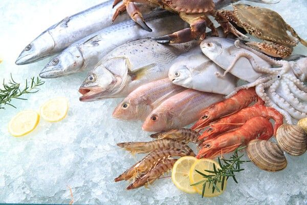 ⓒ게티이미지뱅크(해산물)