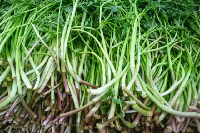 ⓒ게티이미지뱅크(미나리)