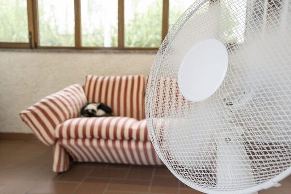 ⓒ게티이미지뱅크(선풍기)