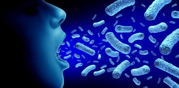 ⓒ게티이미지뱅크(백일해)