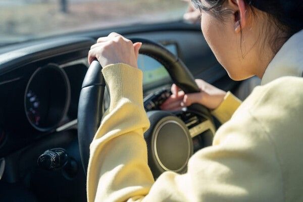 ⓒ게티이미지뱅크(면허)