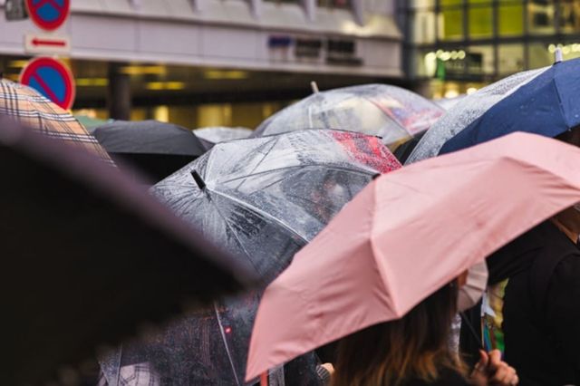 ⓒ게티이미지뱅크(비오는 날 우산 쓴 사람들)
