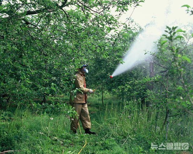 ⓒ게티이미지뱅크(사과)