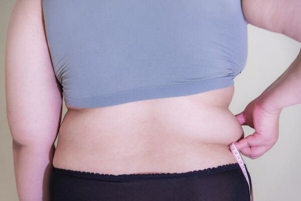 ⓒ게티이미지뱅크(비만)