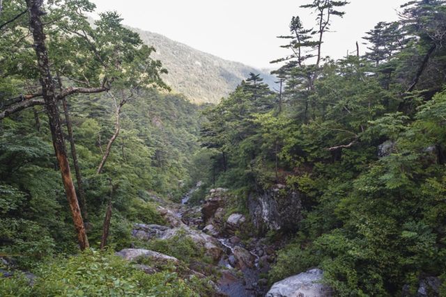 ⓒ게티이미지뱅크(지리산)