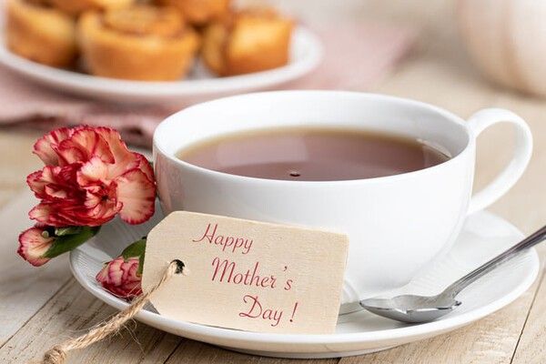 ⓒ게티이미지뱅크(카네이션)