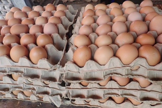 ⓒ게티이미지뱅크(달걀)