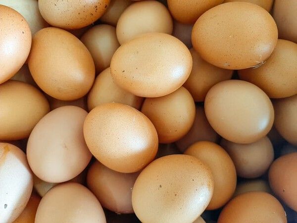 ⓒ게티이미지뱅크(달걀)