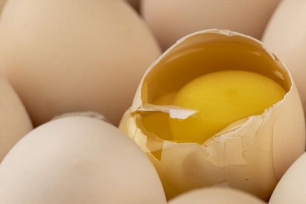 ⓒ게티이미지뱅크(달걀)