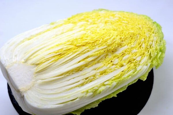 ⓒ게티이미지뱅크(배추)