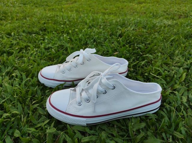 ⓒ게티이미지뱅크(운동화)