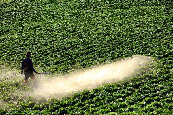 ⓒ게티이미지뱅크(농약)