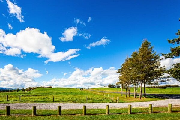 ⓒ게티이미지뱅크(뉴질랜드)