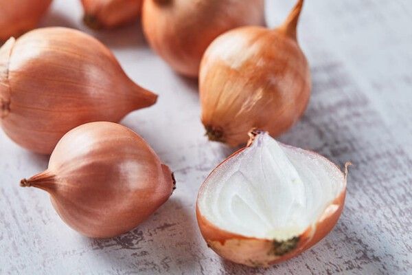 ⓒ게티이미지뱅크(양파)