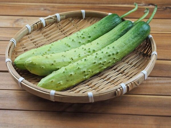 ⓒ게티이미지뱅크(오이)