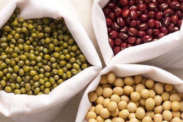 ⓒ게티이미지뱅크(콩국수)