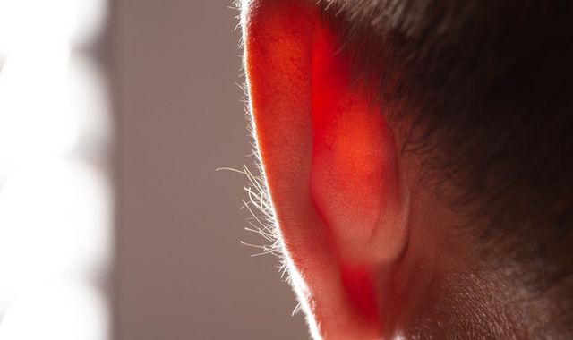 ⓒ게티이미지뱅크(귀)