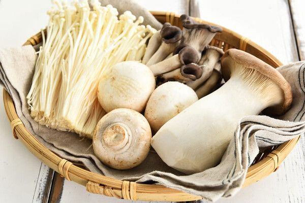 ⓒ게티이미지뱅크(버섯)