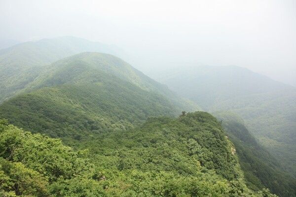 ⓒ게티이미지뱅크(치악산)