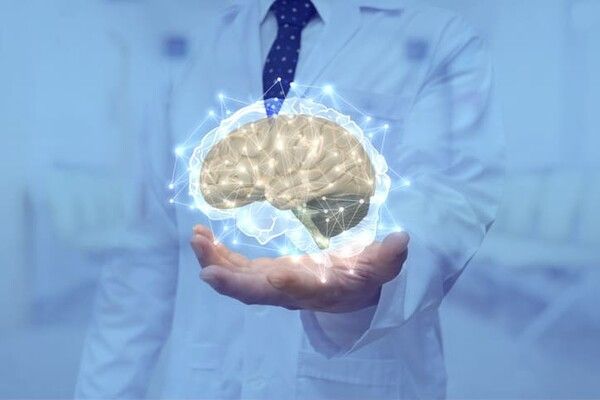 ⓒ게티이미지뱅크(뇌)