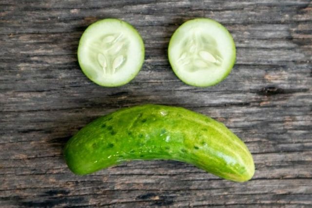 ⓒ게티이미지뱅크(오이)