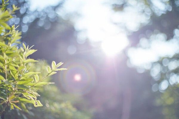 ⓒ게티이미지뱅크(더위)