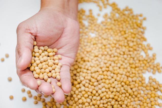 ⓒ게티이미지뱅크(콩)