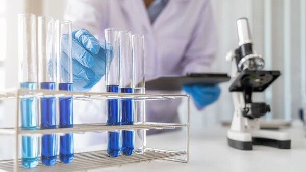 ⓒ게티이미지뱅크(연구)