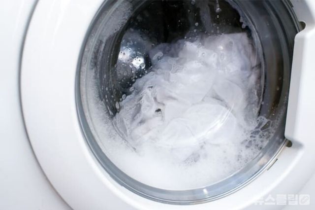 ⓒ게티이미지뱅크(세탁기 물)