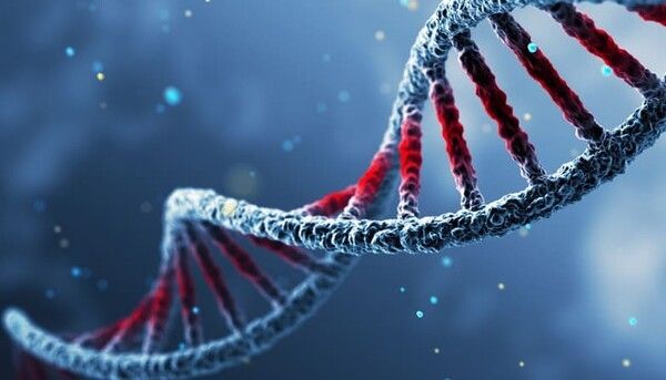 ⓒ게티이미지뱅크(유전자)