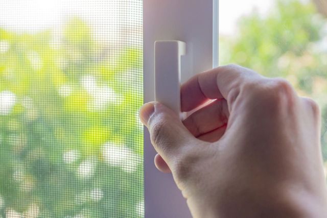 ⓒ게티이미지뱅크(방충망)